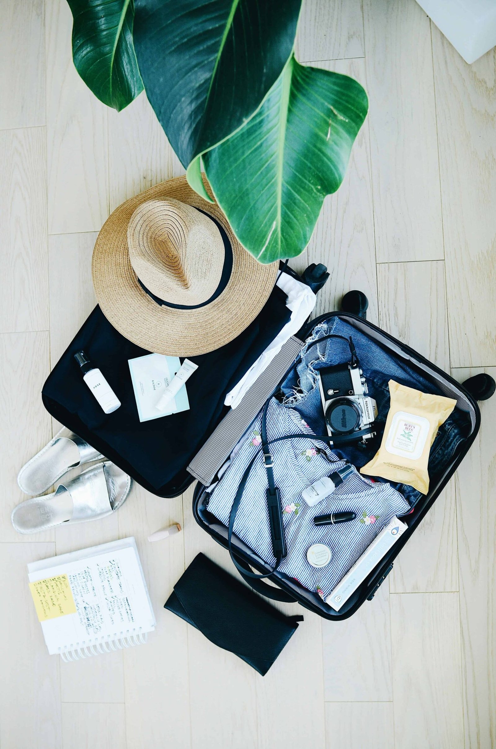 marissa-grootes-TVllFyGaLEA-unsplash (1) marissa-grootes-TVllFyGaLEA-unsplash (1)